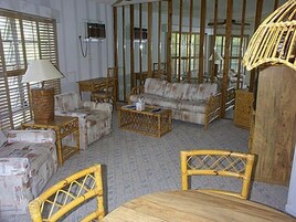 Studio Suite, 1 Queen Bed | Living area | DVD player