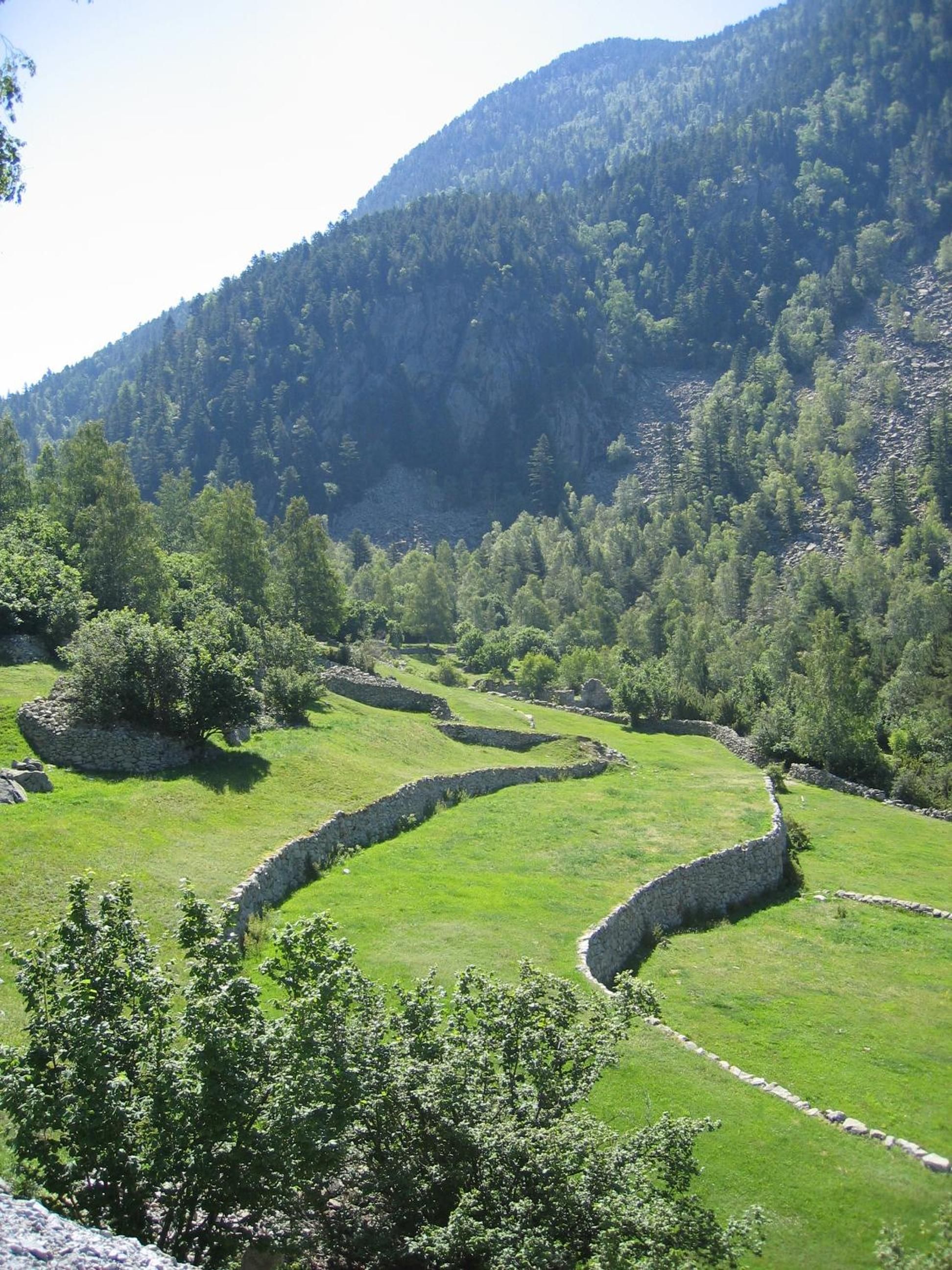 Un paisaje verde con muros de piedra y árboles.