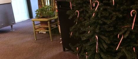 A room with a Christmas tree decorated with candy canes, a wooden chair, and a desk with a computer.