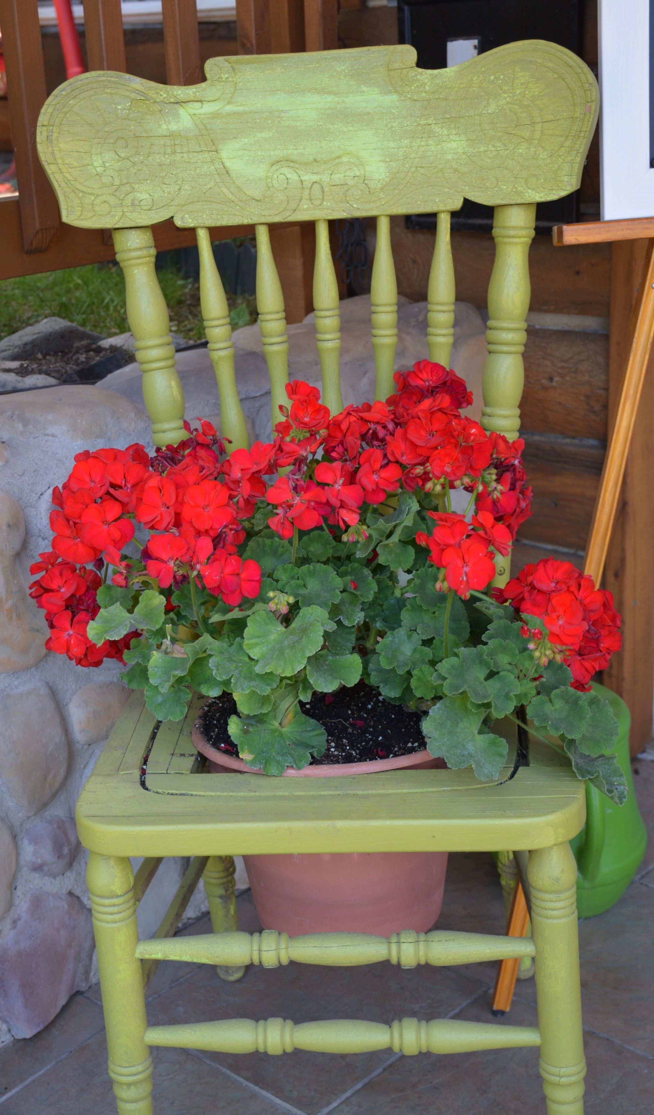 A wooden chair with a green seat and backrest, holding a potted plant with red flowers.