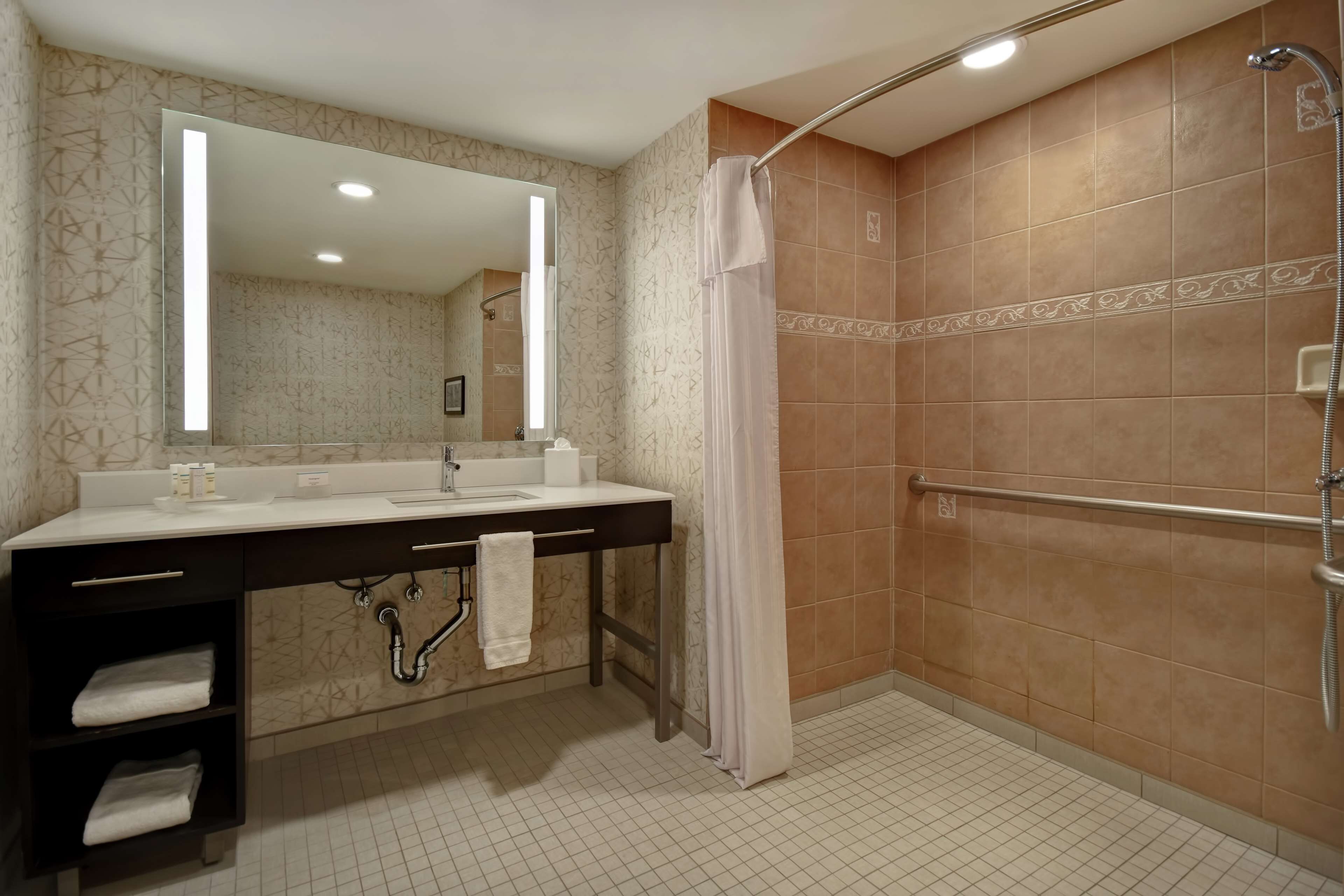 suite, accessible, non smoking (roll-in shower) | bathroom shower