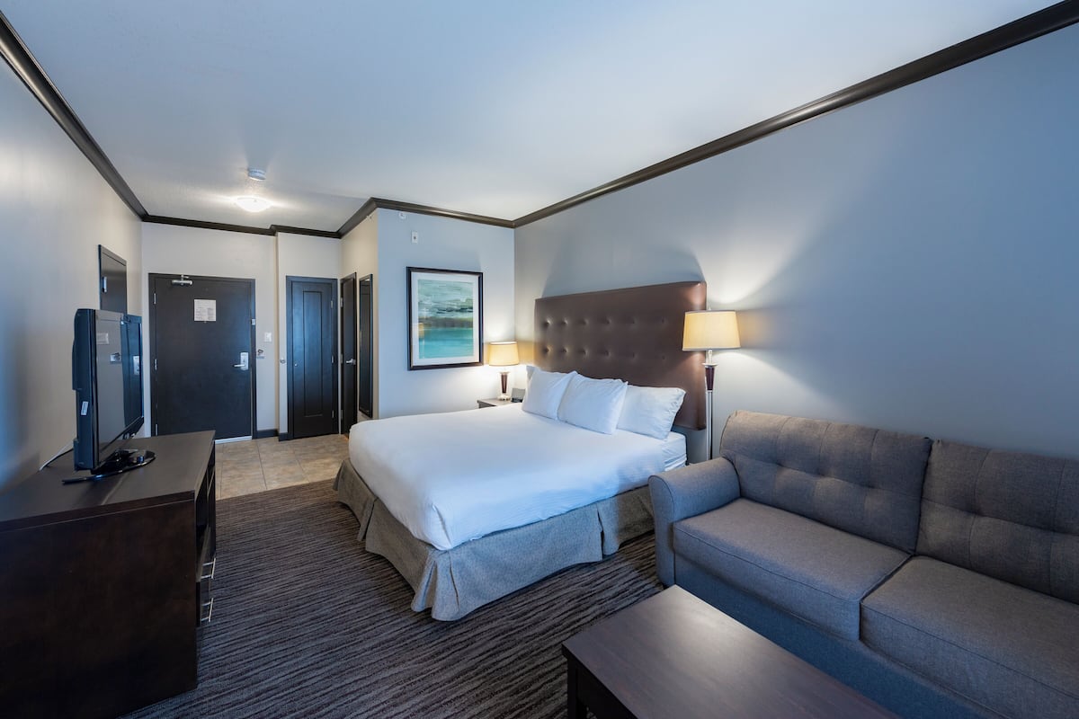A hotel room with a large bed, a sofa, a desk with a TV, and a framed picture on the wall.
