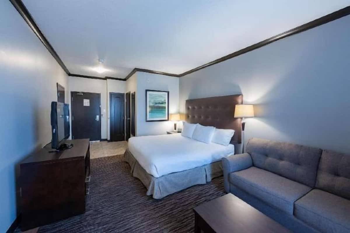 Premium bedding, blackout drapes, iron/ironing board, free WiFi