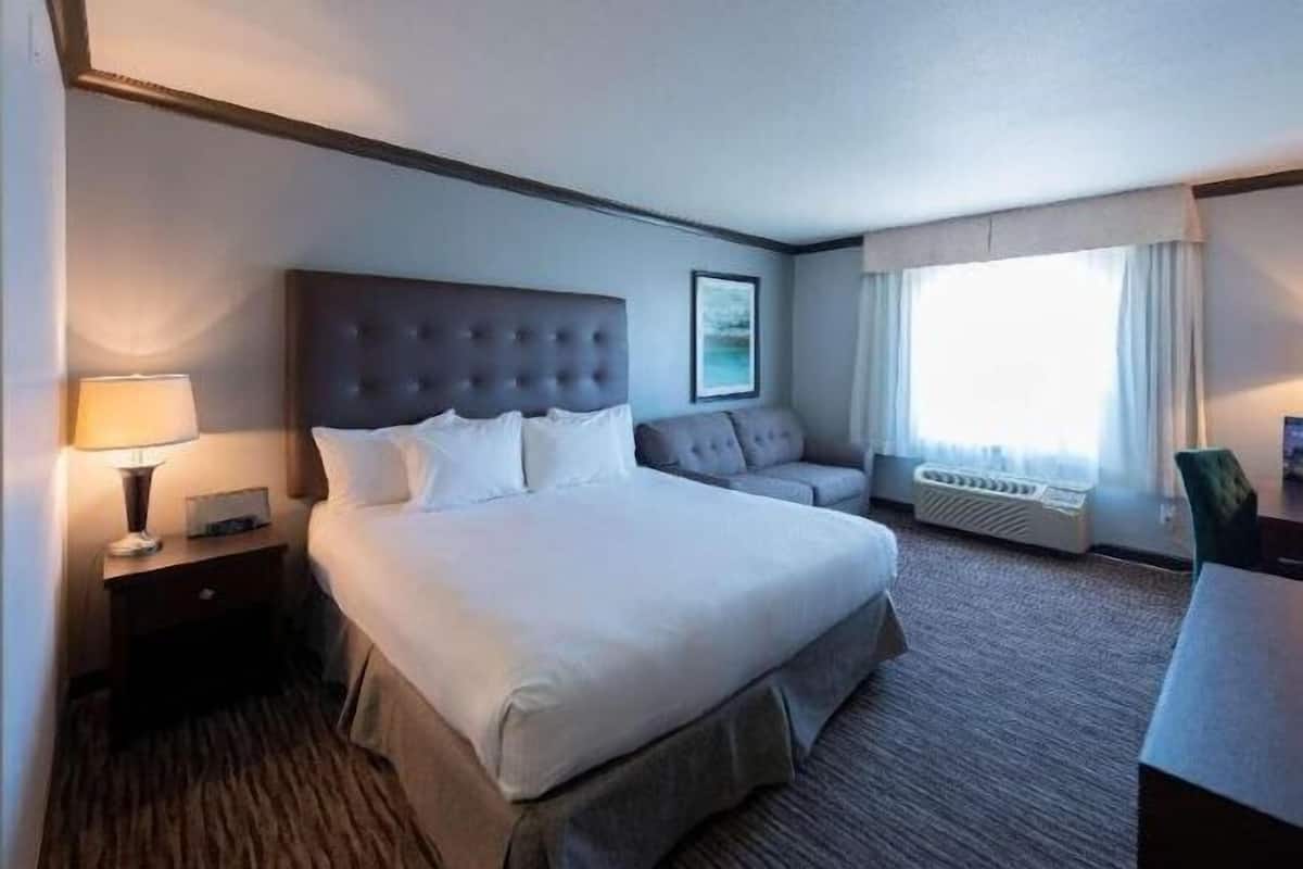 Premium bedding, blackout drapes, iron/ironing board, free WiFi