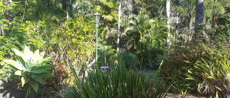A garden with various plants and a street lamp.