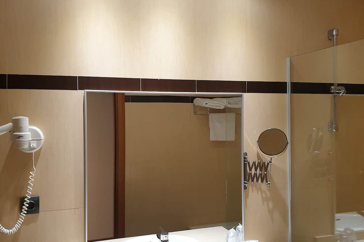 hair dryer, soap, shampoo, toilet paper