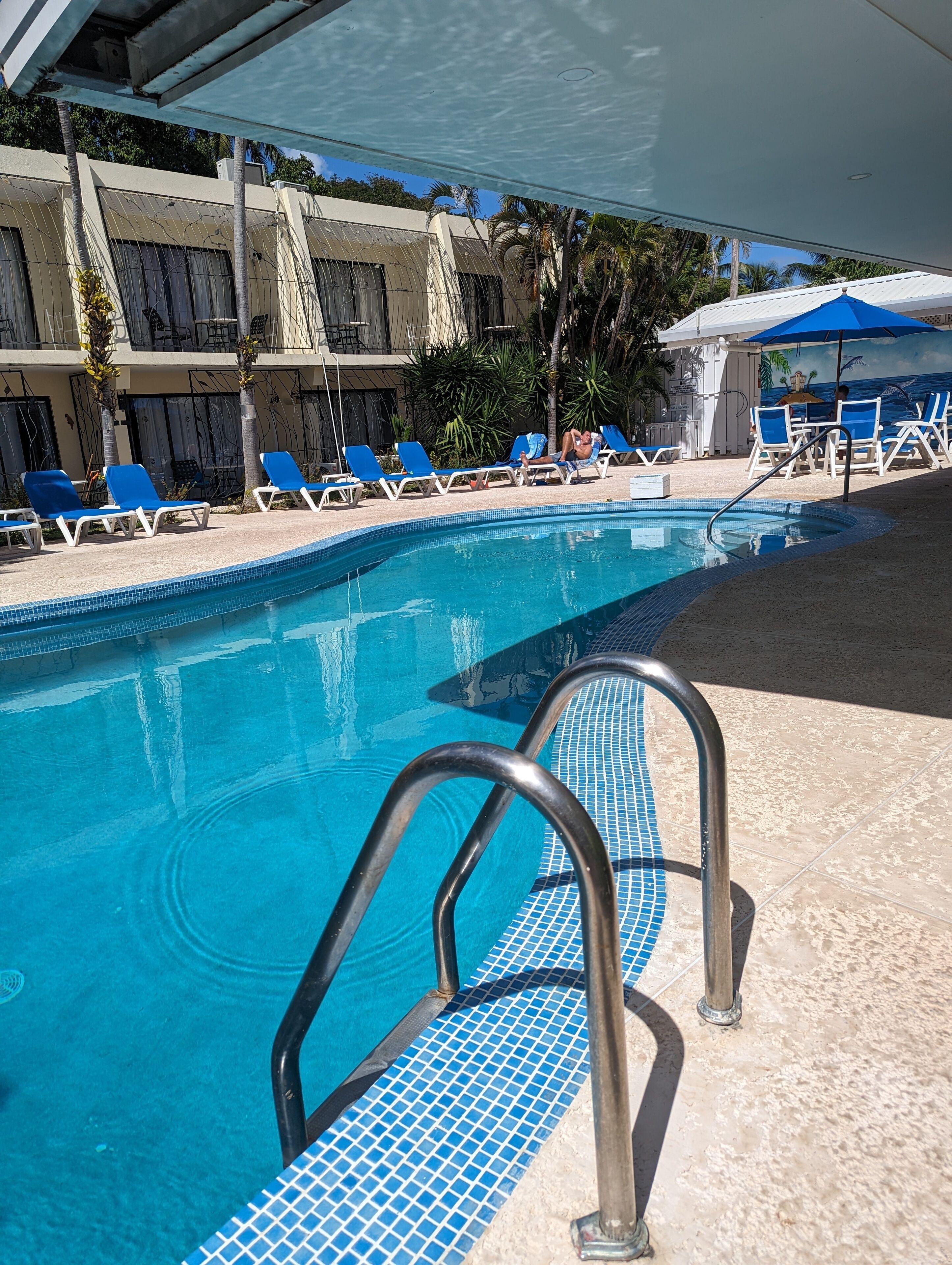 A swimming pool with blue tiled edges, lounge chairs, and a covered seating area.