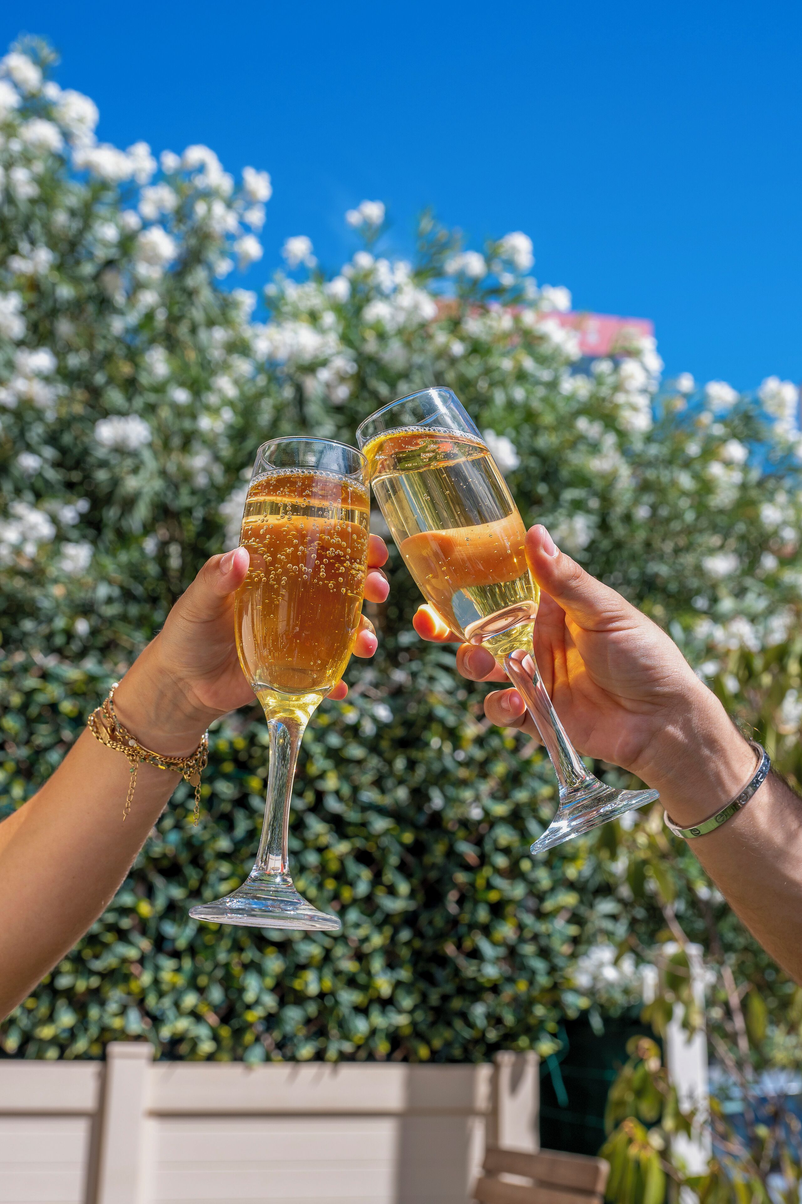 Two hands holding champagne glasses with a garden in the background.