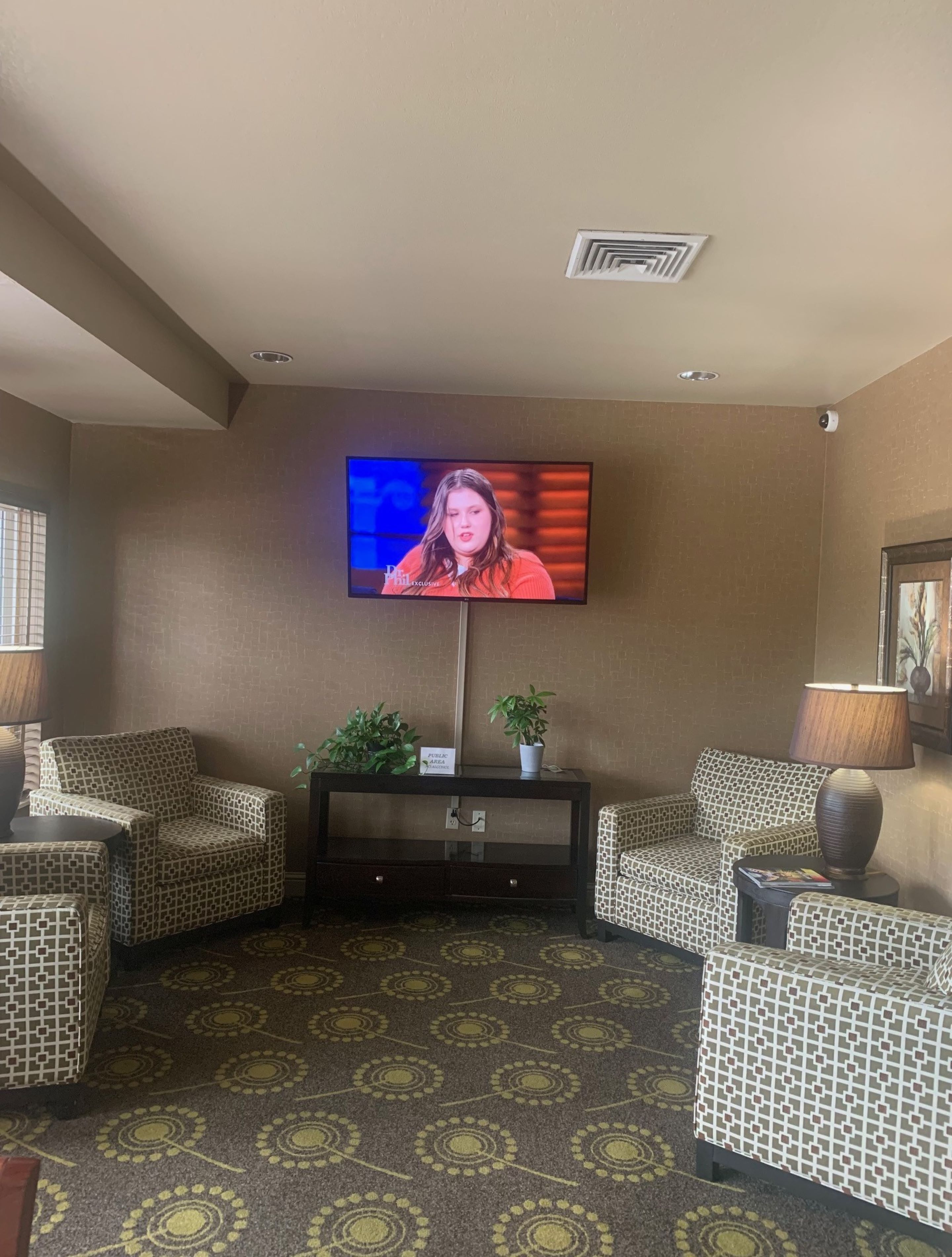 Habitación de hotel con televisor montado en la pared, dos sillones estampados, una mesita con una planta y una alfombra decorada.