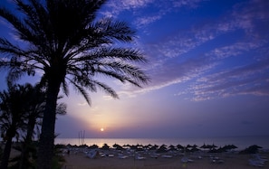 A beach with palm trees, beach umbrellas, and lounge chairs. - Hotel Dar Khayam (Hammamet)
