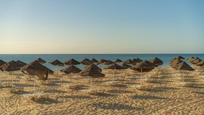 Ein Strand mit Reihen von Liegestühlen und Reetdachschirmen.
