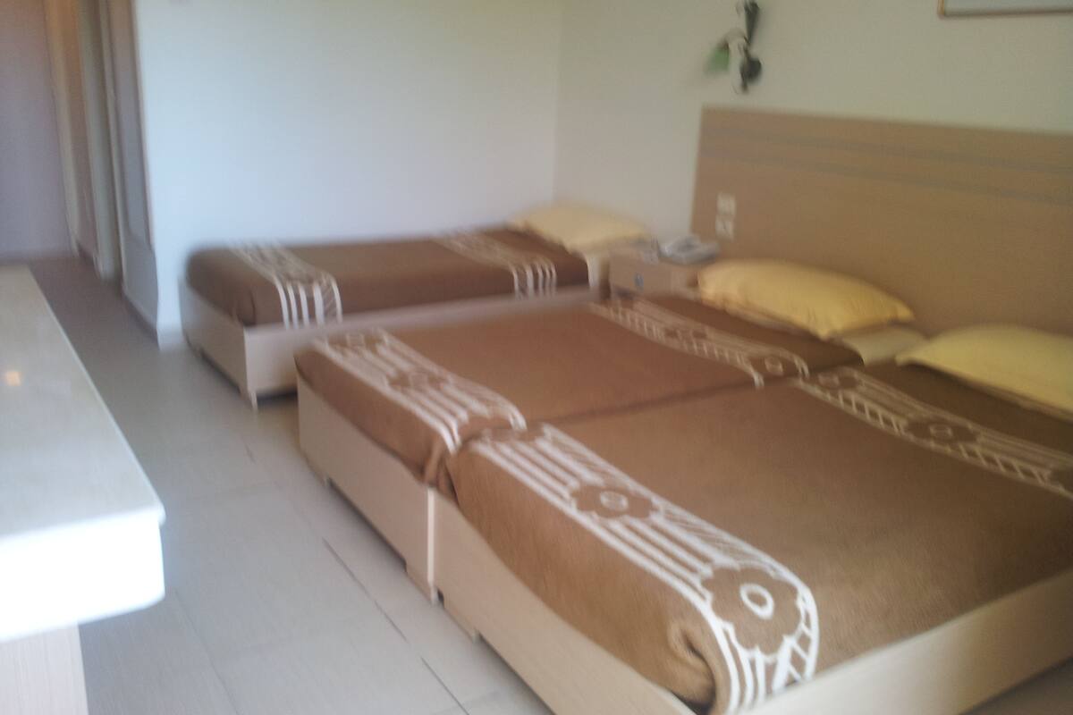 Una habitación de hotel con dos camas, cada una con una colcha y cojines estampados.