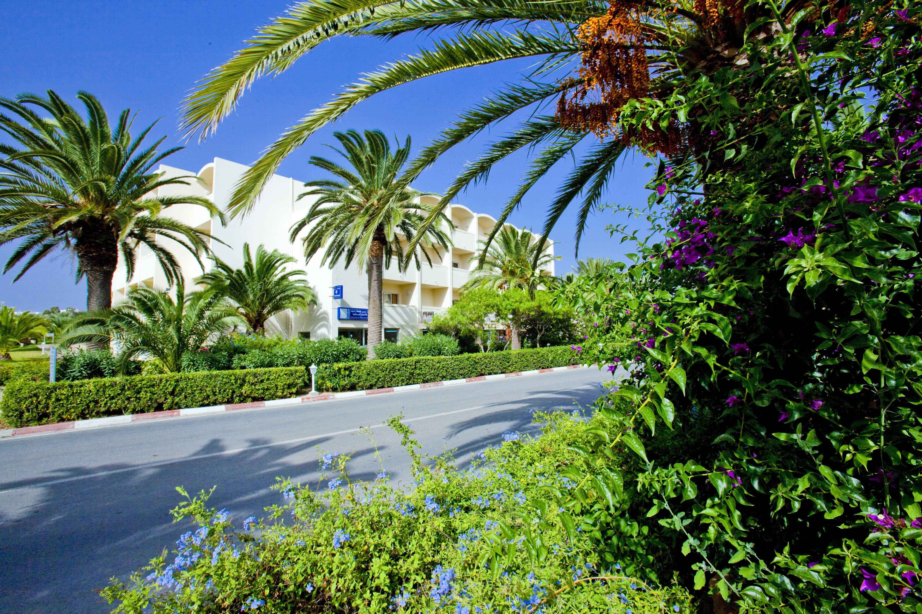Un hotel con fachada blanca, palmeras y un jardín bien cuidado con flores azules.