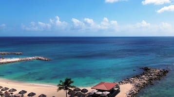 Une plage avec des parasols, un palmier et un bâtiment avec un toit rouge.