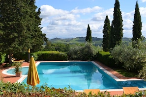 Seasonal outdoor pool, pool umbrellas, pool loungers