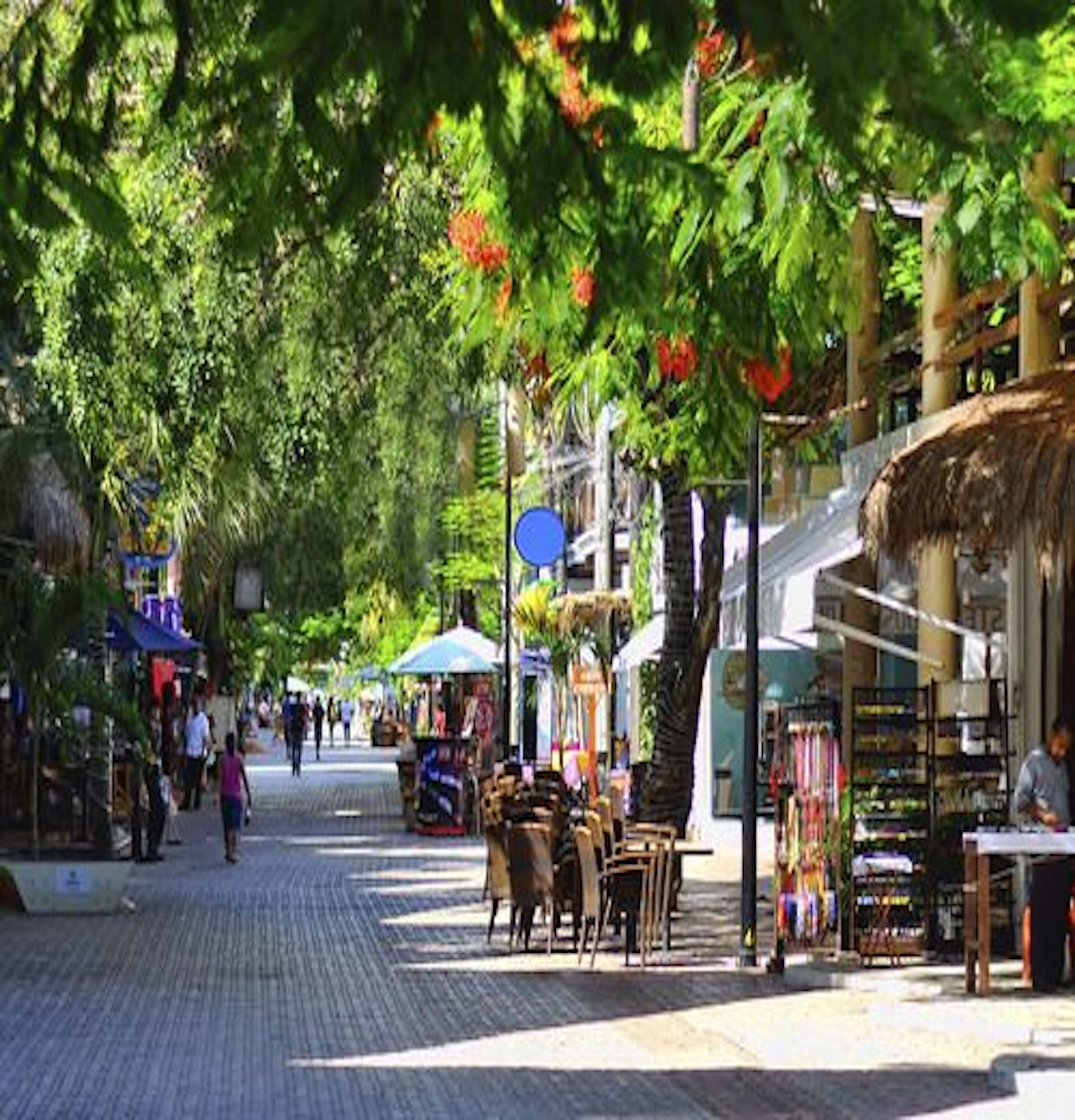 A street lined with shops and stalls, trees with red flowers, and a thatched-roof structure.