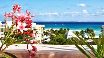 1 Bedroom Penthouse | Ausblick vom Zimmer