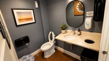 Une salle de bain équipée de toilettes, d’un lavabo, d’un distributeur de savon et d’un tableau encadré au mur.