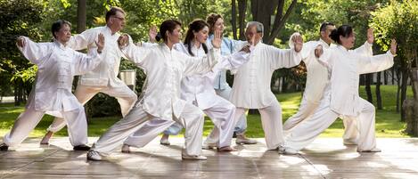 Un grupo de personas practicando una rutina de artes marciales al aire libre.