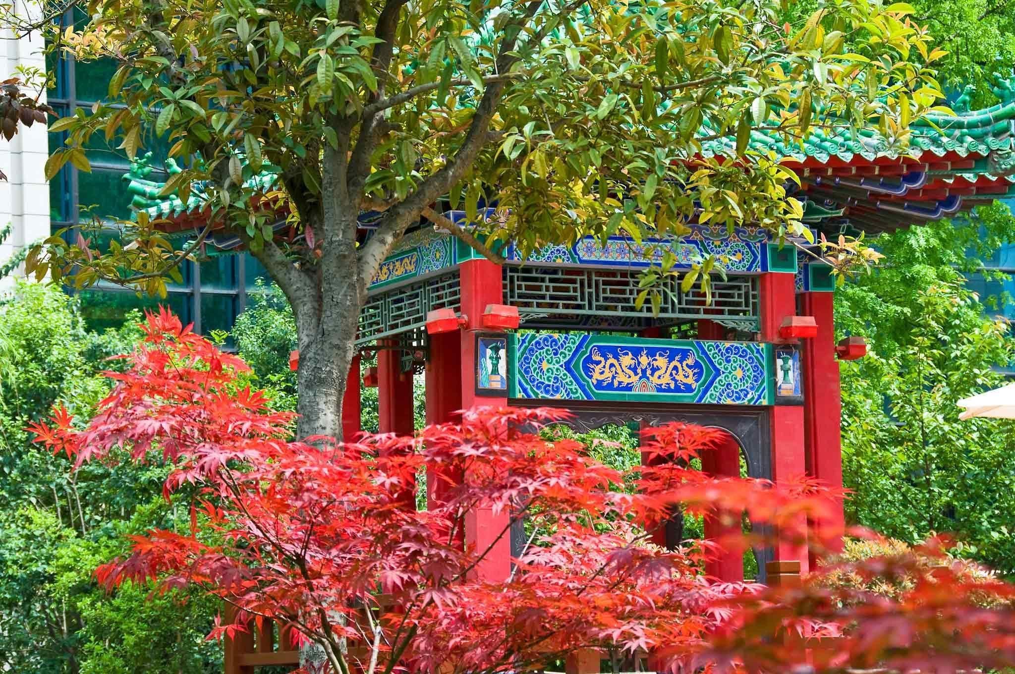 Une porte japonaise traditionnelle ornée de motifs complexes aux couleurs bleu et vert, entourée d’une végétation luxuriante et de feuillages rouges.