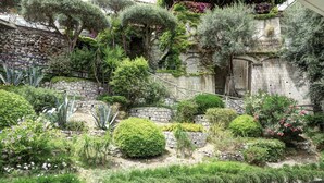A lush garden with various plants and a stone wall. - Grand Hotel Capodimonte (Sorrento)