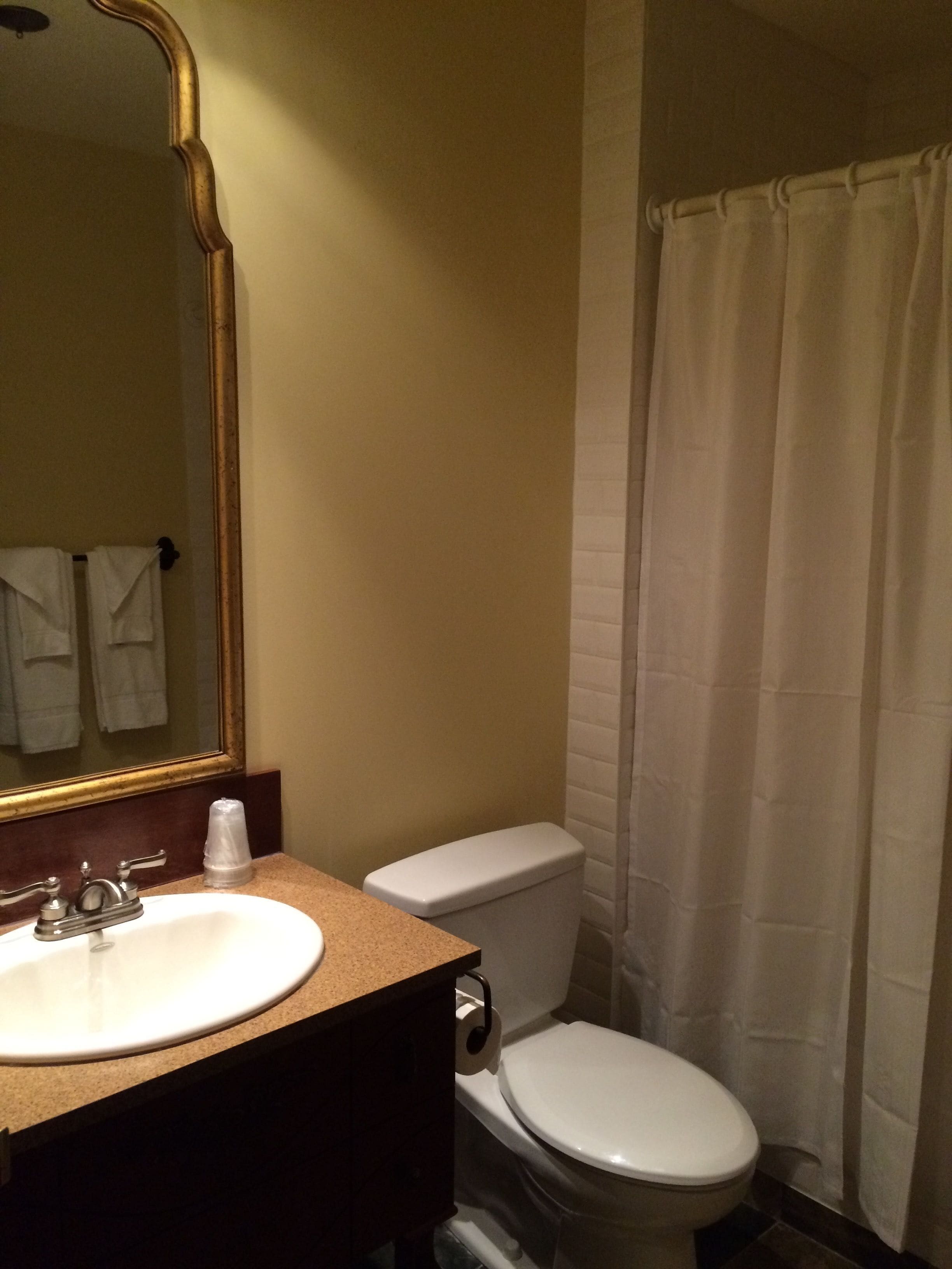 A bathroom with a sink, mirror, toilet, and shower curtain.