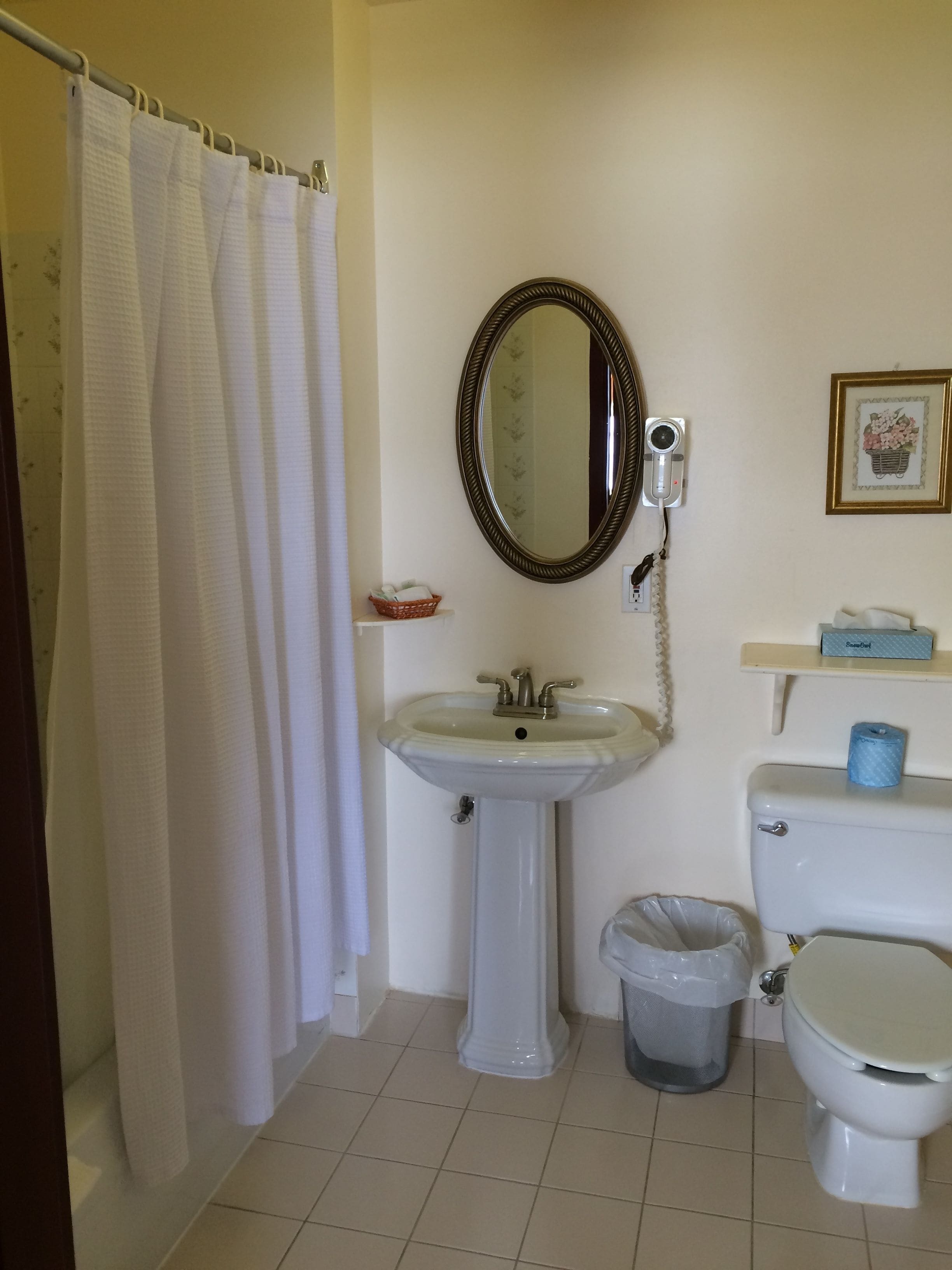 A bathroom with a white sink, a toilet, a shower curtain, a mirror, and a trash bin.