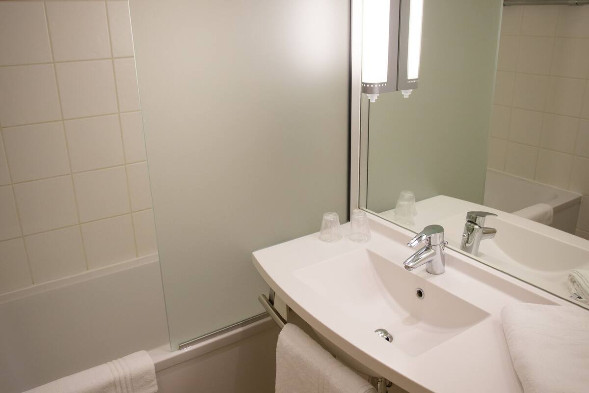 standard room, 1 double bed with sofa bed | bathroom | combined shower/bathtub, eco-friendly toiletries, hair dryer, towels