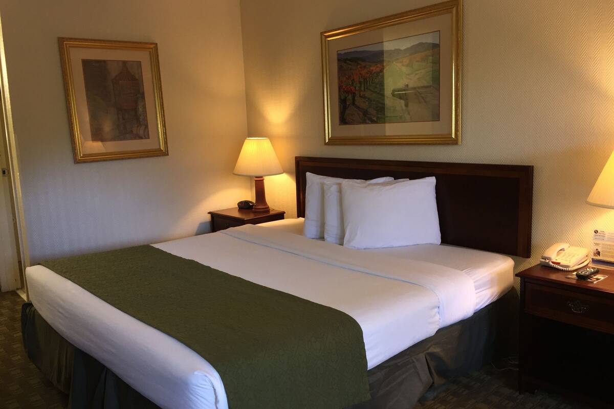 Room, 1 King Bed | In-room safe, blackout curtains, iron/ironing board, free WiFi