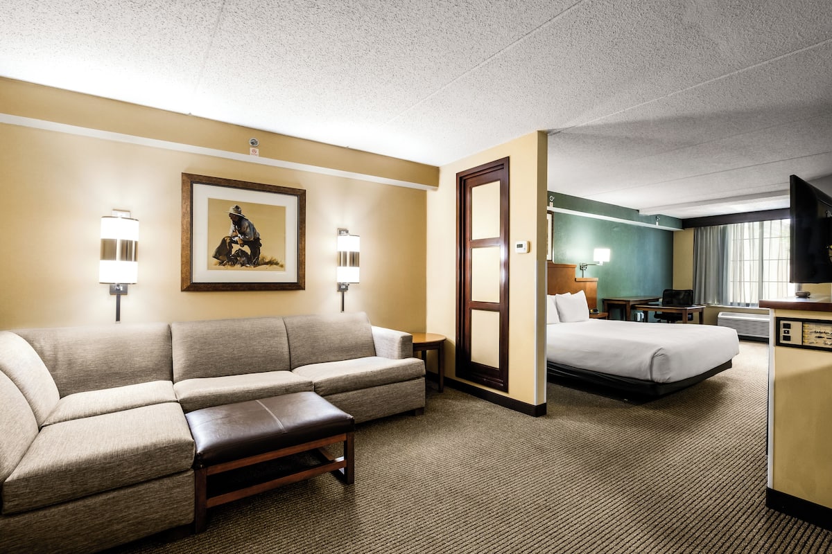 Una habitación de hotel con sofá, cama, escritorio y televisión.