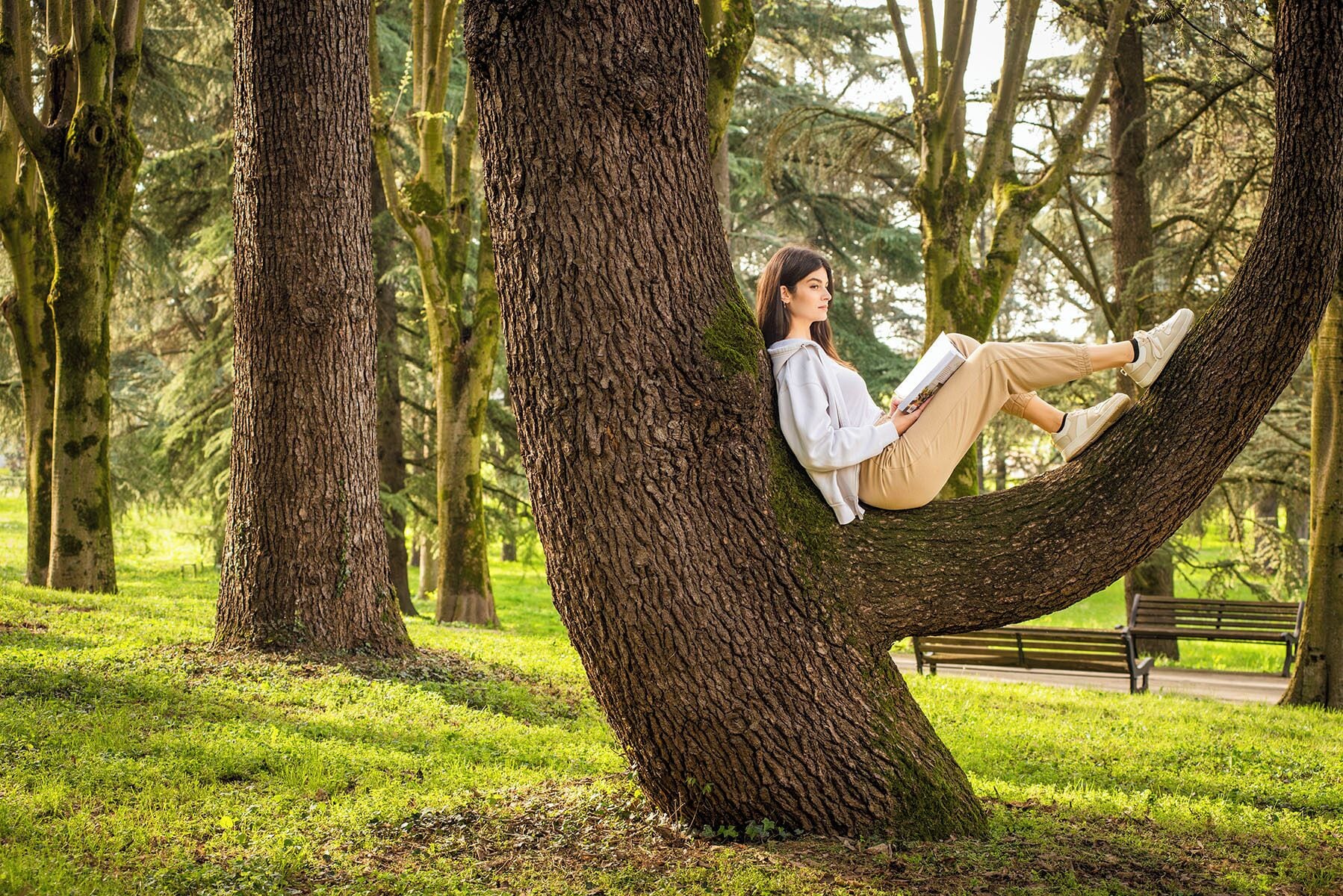 Une personne assise sur une branche d’arbre dans un parc.