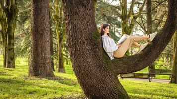 Une personne assise sur une branche d’arbre dans un parc.