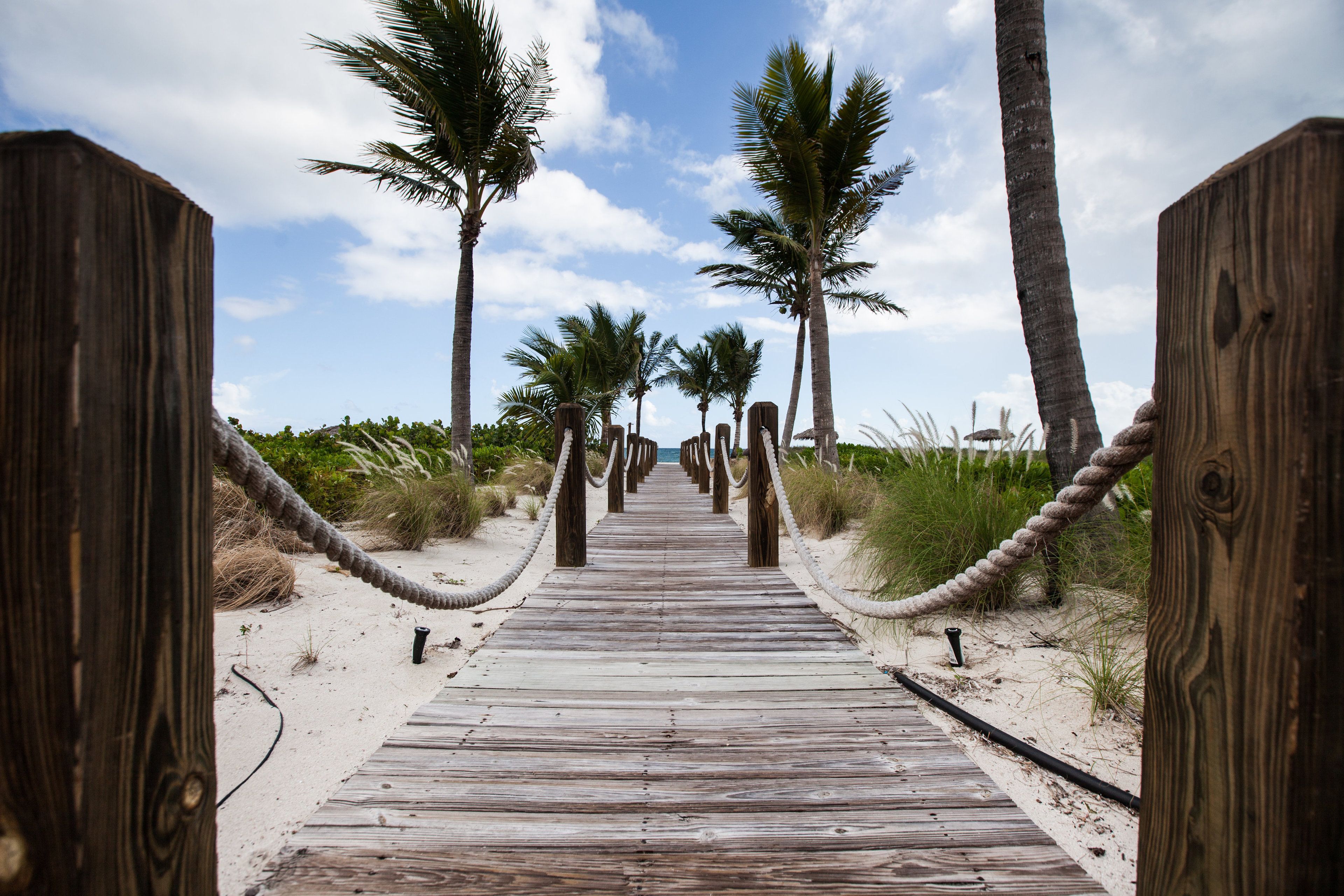 A wooden boardwalk leading to a beach with palm trees and a clear sky.