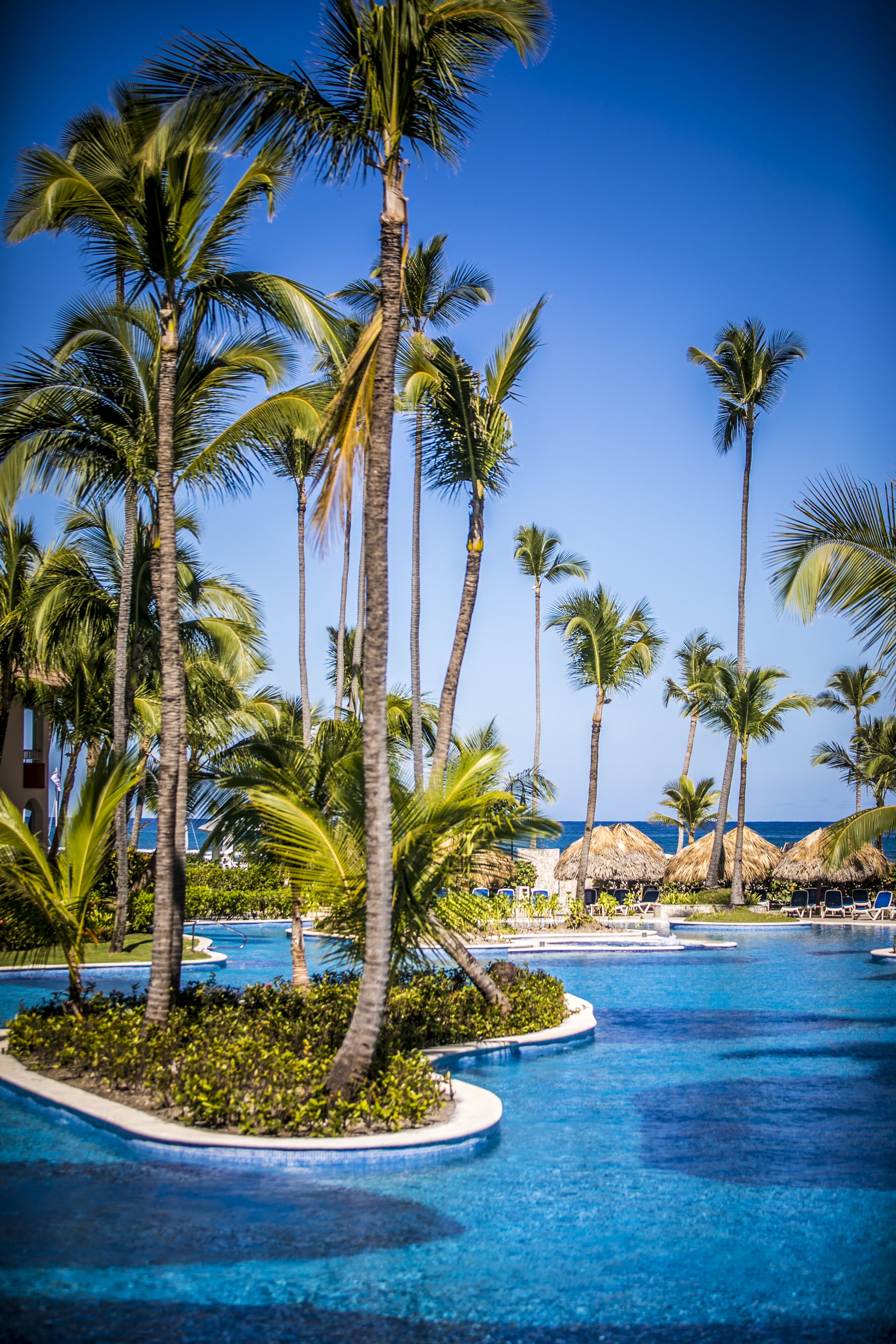 2 piscinas al aire libre (de 08:00 a 18:00), sombrillas, tumbonas