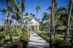 Outdoor wedding area