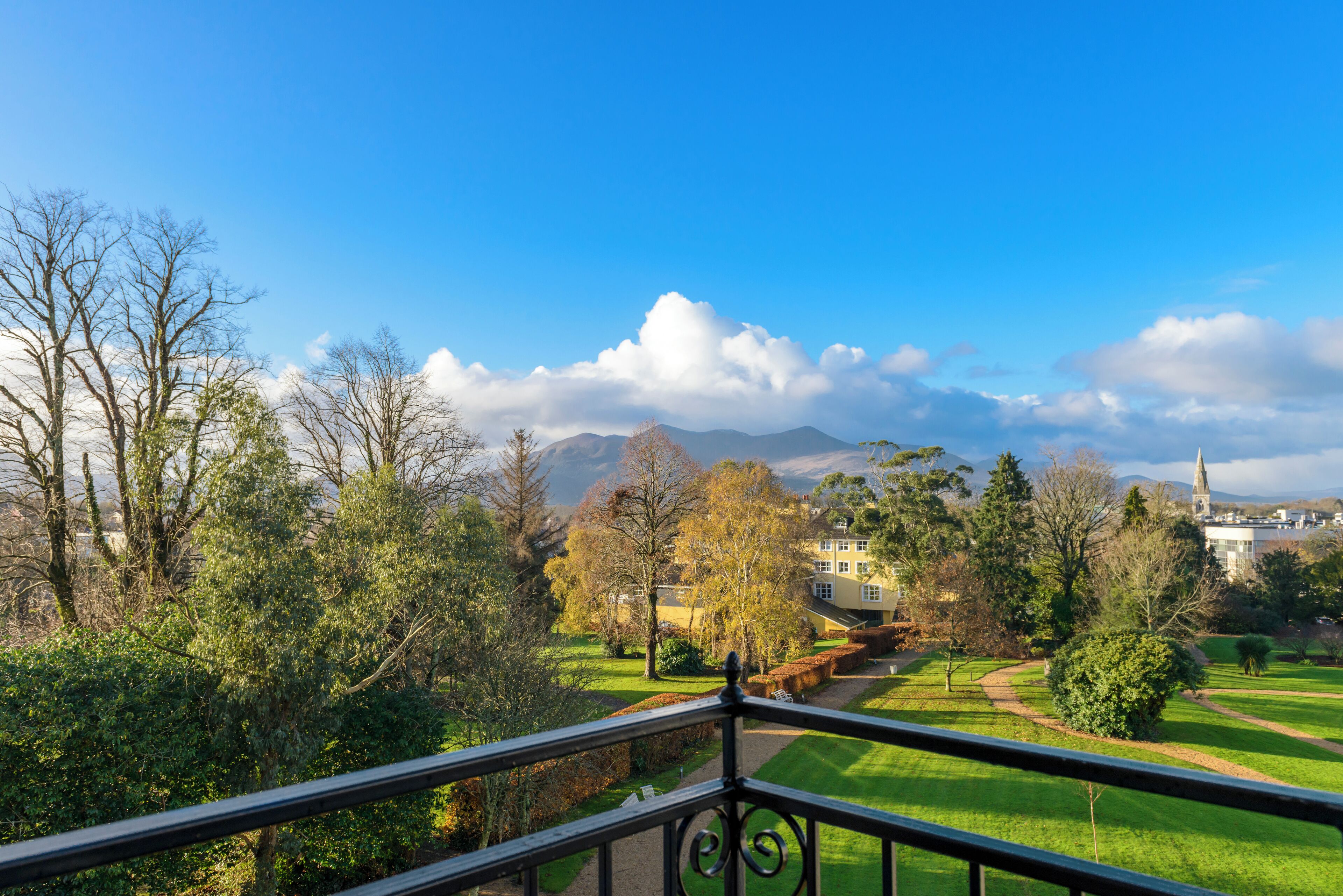 Photo - Great Southern Killarney