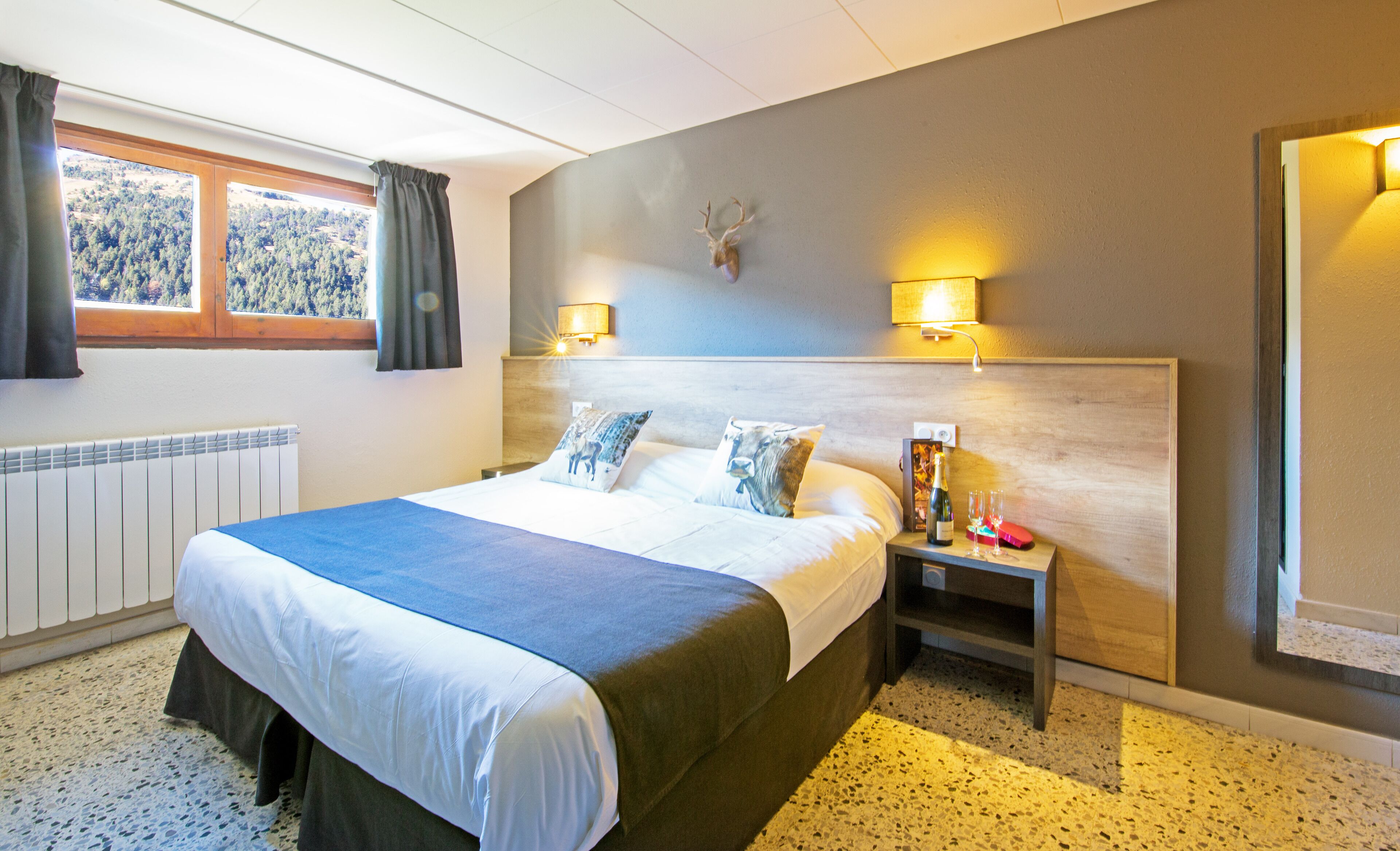 Desk, free WiFi, bed sheets