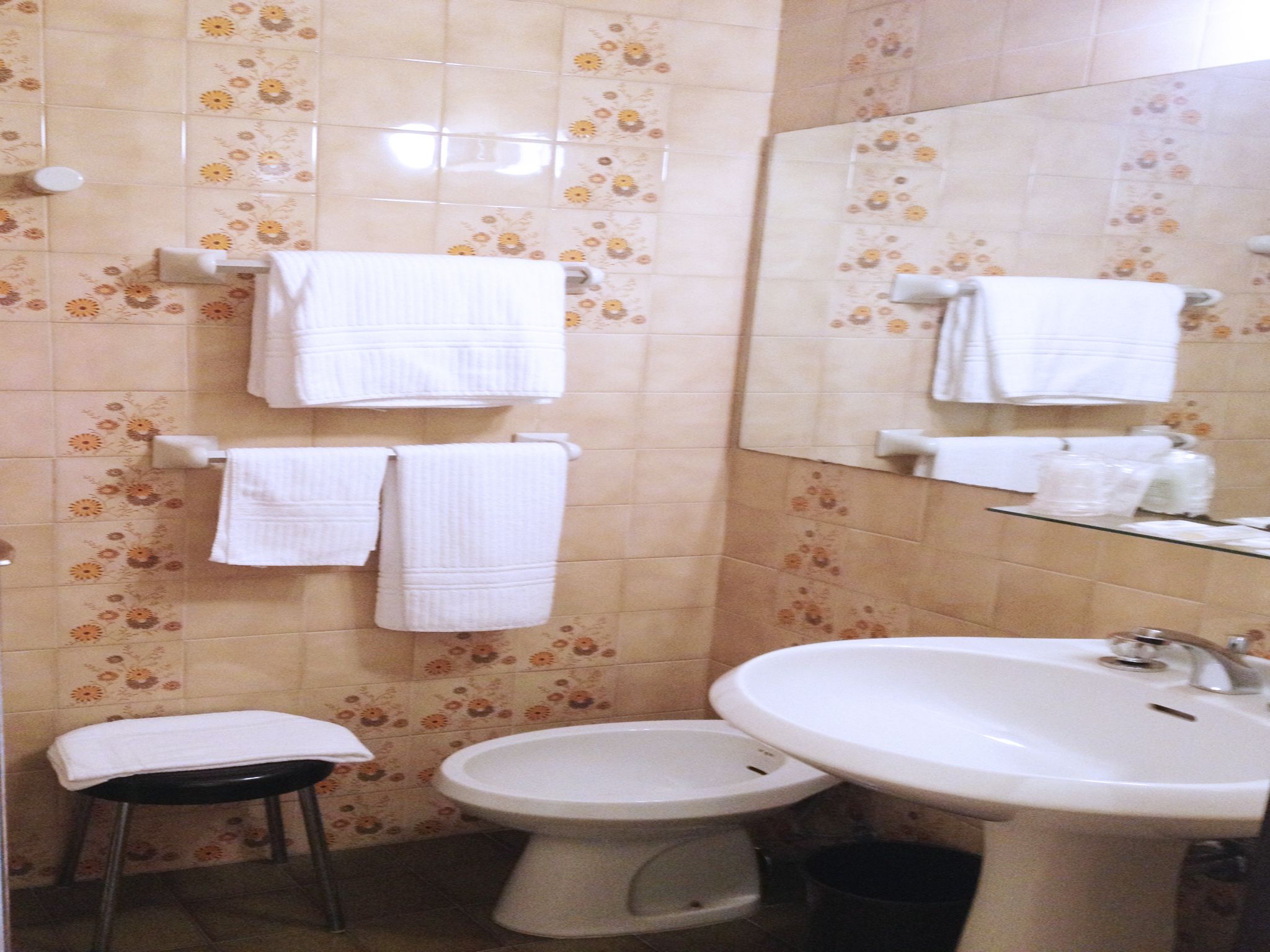 Une salle de bain avec deux toilettes, un lavabo et un miroir. Des porte-serviettes sont fixés au mur, et des serviettes y sont suspendues.