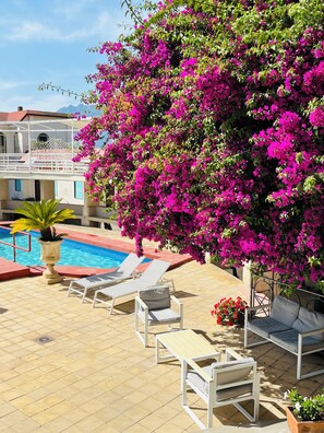 A poolside area with lounge chairs, a swimming pool, and a large flowering tree. - Hotel Villa dei Misteri (Pompei)