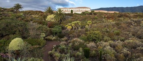 A large building surrounded by a diverse garden with various plants and a clear sky.