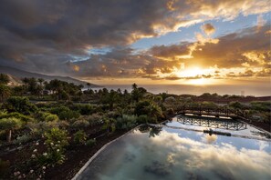 Un jardin avec un pont enjambant un bassin aux eaux calmes, entouré de différentes plantes, et un coucher de soleil en arrière-plan.