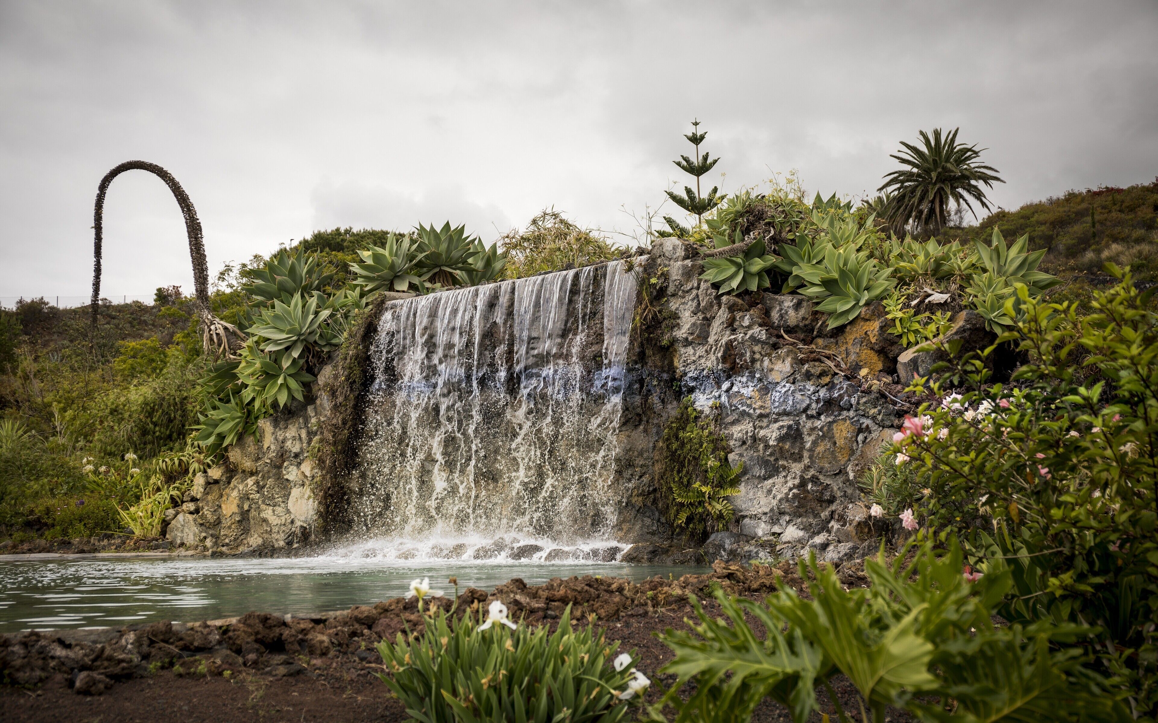 A waterfall cascading over a rocky cliff surrounded by lush greenery and flowering plants.