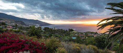 A coastal landscape with a sunset, lush vegetation, and a view of the sea.