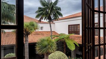 Un patio con una palmera, un arbusto esférico y un edificio con tejado de baldosas.