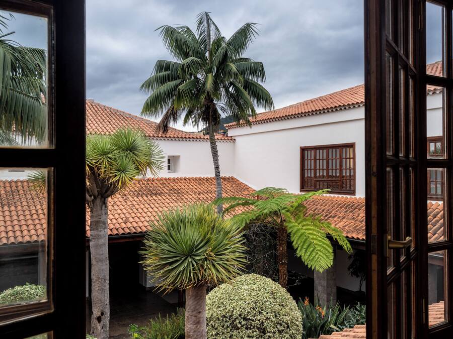 Un patio con una palmera, un arbusto esférico y un edificio con tejado de baldosas.