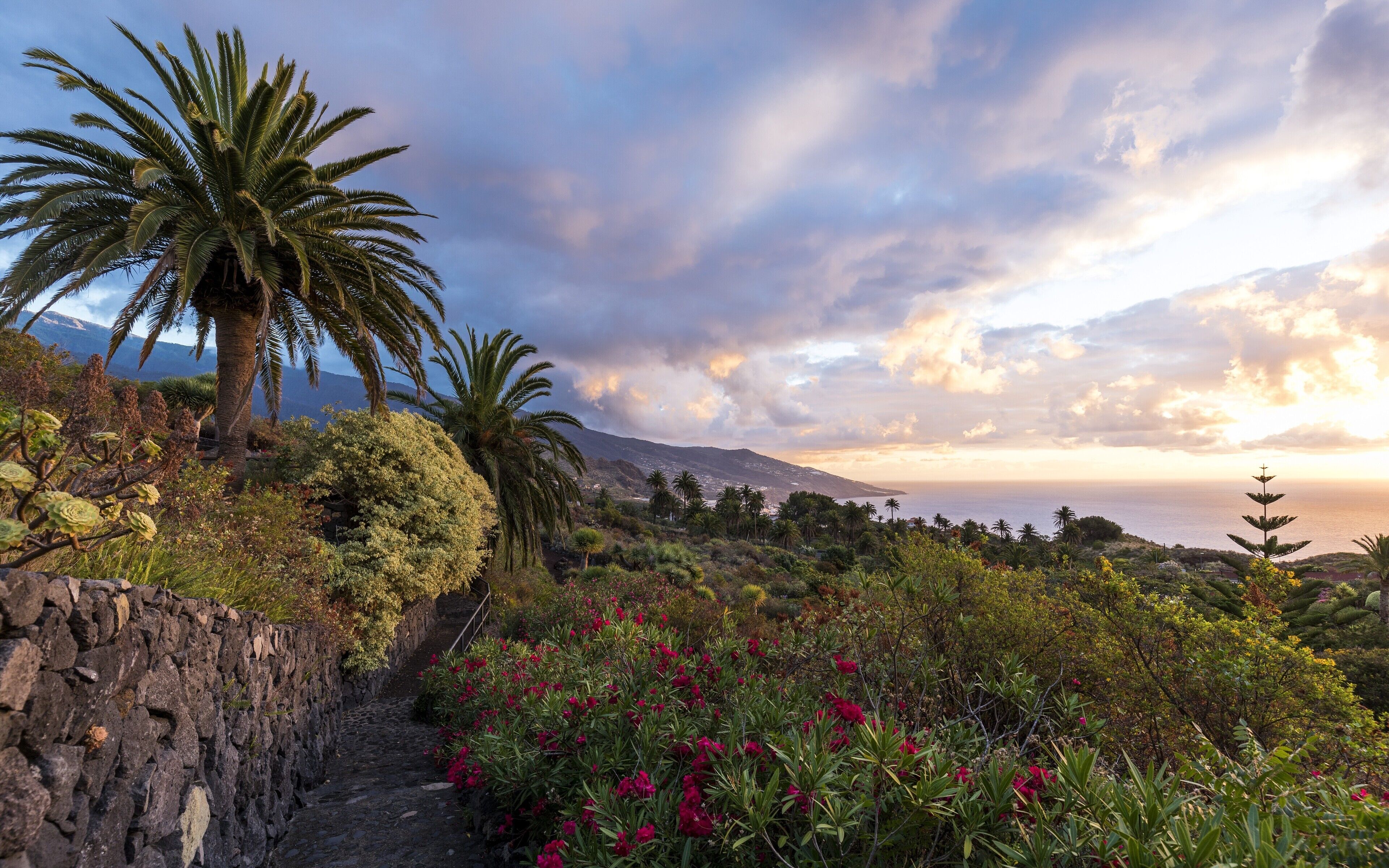 Photo - Parador de La Palma