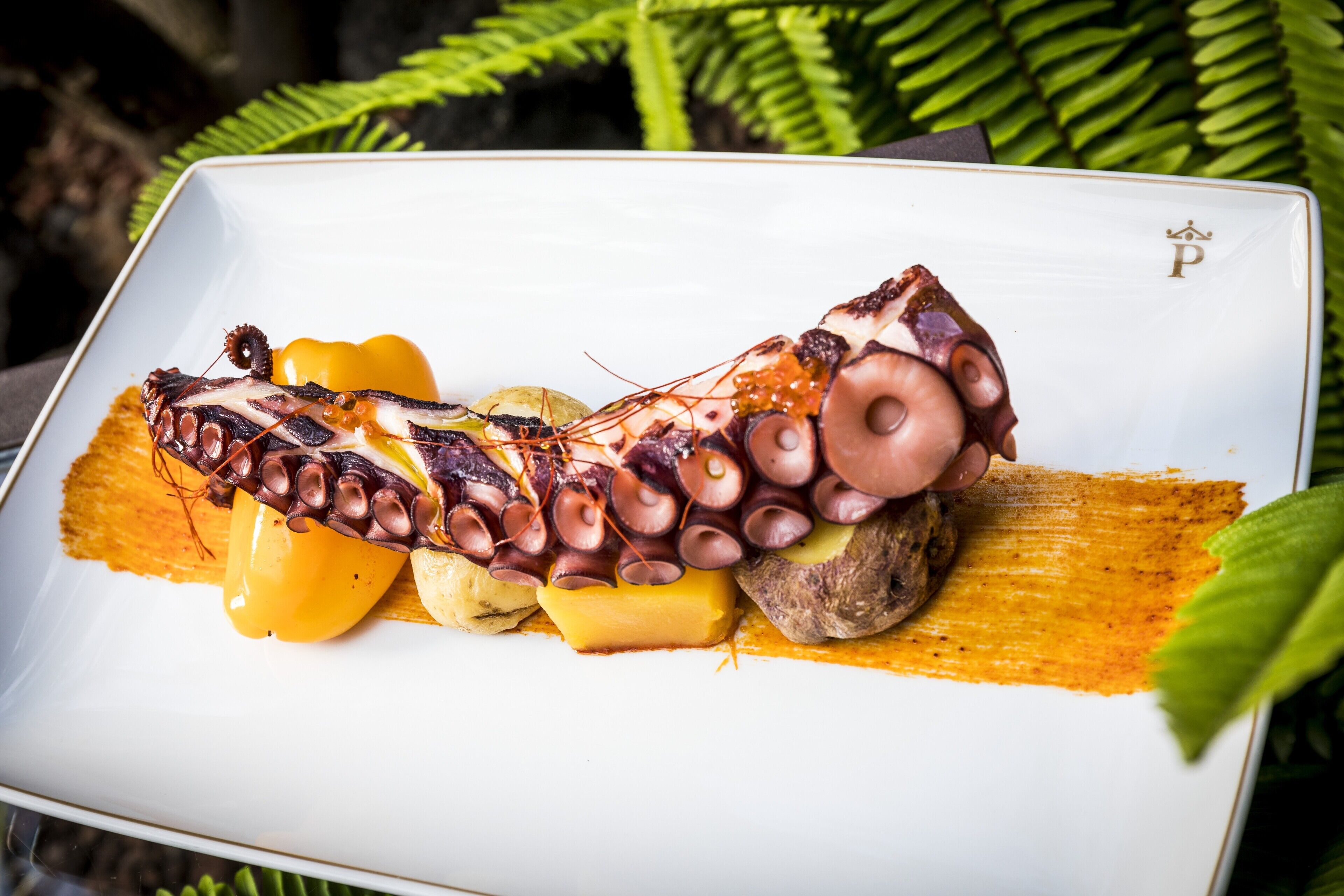 A plated dish with octopus, potatoes, and a yellow sauce.