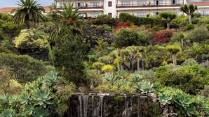 A waterfall cascading into a pond surrounded by lush greenery and a large building with a red-tiled roof in the background. - Parador de La Palma (Brena Baja)