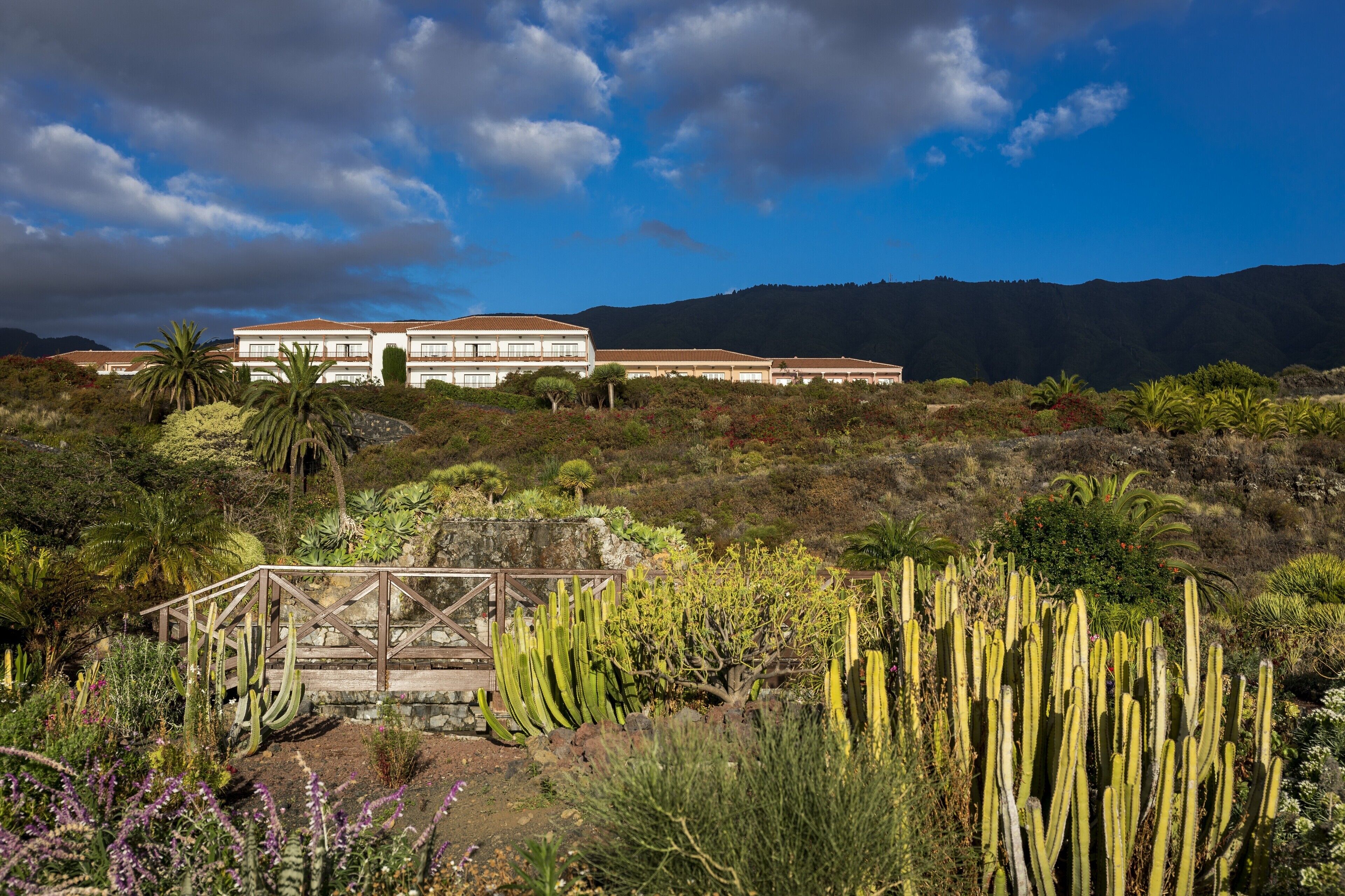 A large building with a flat roof and multiple windows, surrounded by a variety of cacti and shrubs.