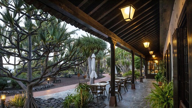 Un espacio de patio al aire libre con suelo de piedra, mesas y sillas de madera y plantas en macetas.